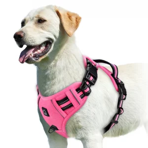 No Pull Dog Harness, Adjustable Soft Padded Pet Vest with Easy Control Handle - Imagen 9