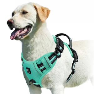 No Pull Dog Harness, Adjustable Soft Padded Pet Vest with Easy Control Handle - Imagen 13