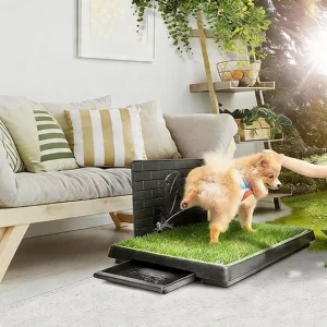 Dog Potty Pad, A Three-layer, Realistic Artificial Grass Potty System Featuring Drainage Holes, Pet Training and Is Suitable for Use in A Wide Variety of Indoor and Outdoor Settings. Ideal for Puppies, Small To Medium-sized Dogs
