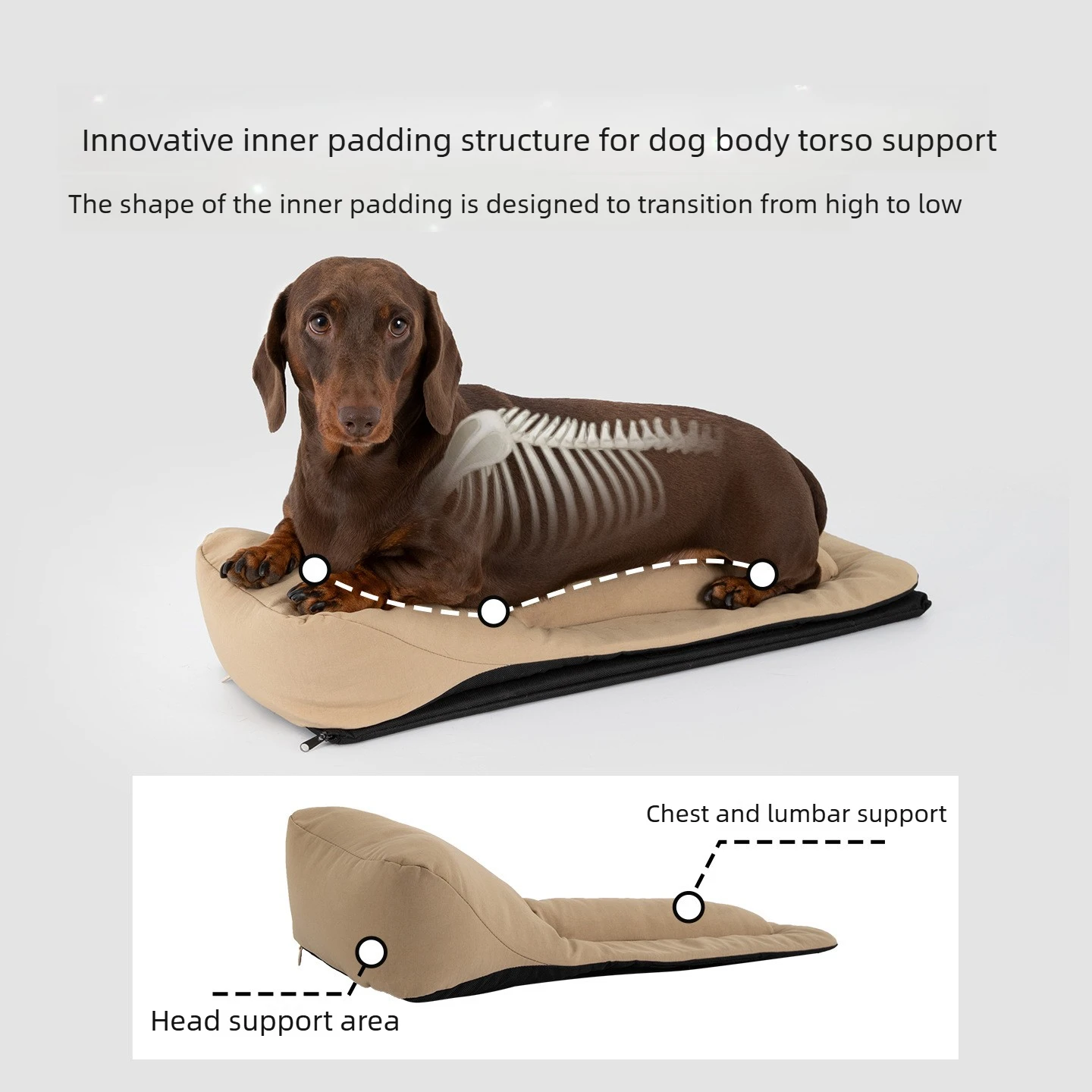Nylon Brown Shell Pet Dachshund Backpack Double Shoulder Outdoor Travel Dog Carrier Bag For Sausage Dog Outdoor Hiking Trip - Imagen 5