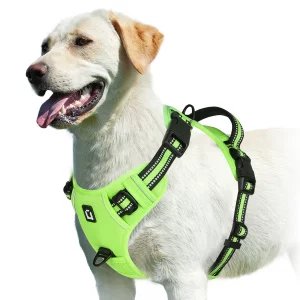 No Pull Dog Harness, Adjustable Soft Padded Pet Vest with Easy Control Handle - Imagen 10