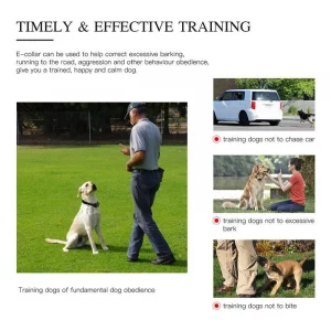 Alternative view of Electric Dog Training Collar Dog Trainer and Bark Stop Device Rechargeable Remote Control IP67 Apply for Dogs of Multiple Sizes