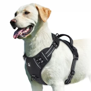 No Pull Dog Harness, Adjustable Soft Padded Pet Vest with Easy Control Handle - Imagen 11