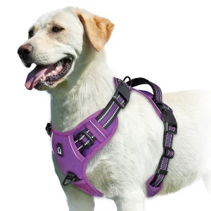 No Pull Dog Harness, Adjustable Soft Padded Pet Vest with Easy Control Handle - Imagen 7