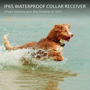 Electric Dog Training Collar Waterproof Dog Bark Collar Pet With Remote Control Rechargeable Anti Barking Device All Dogs Size - Imagen 4