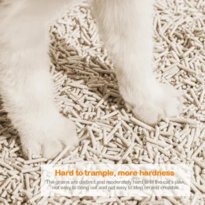 Arena aglutinante para gatos